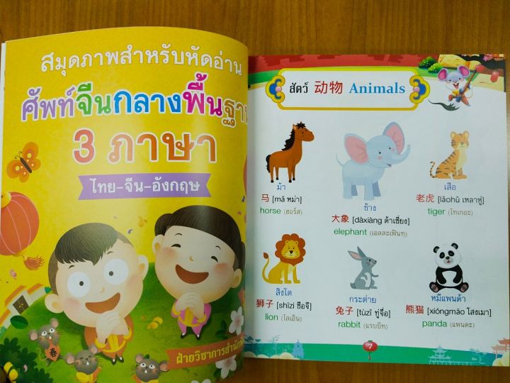 หนังสือเด็ก-สมุดภาพสำหรับหัดอ่าน-ศัพท์จีนกลางพื้นฐาน-3-ภาษา-ไทย-จีน-อังกฤษ