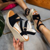 INS Hot Lace Leisure Women Wedges Heeled Women Shoes 2022 Summer Sandals Party Platform High Heels Shoes Woman