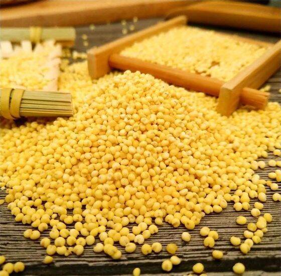 JUSTS ORGANIC STICKY MILLET 1KG Lazada