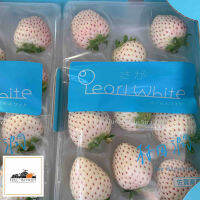 ส่งฟรีรถเย็น! Japanese premium pearl white strawberry✨✨