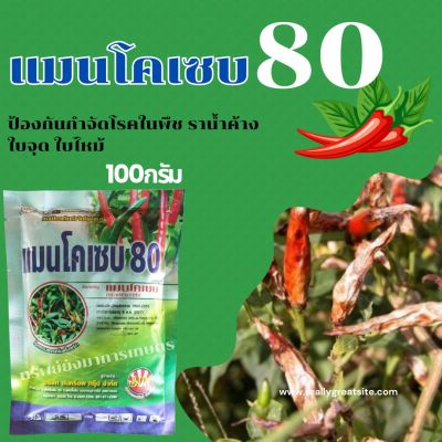 แมนโคเซบ80 ตราพระอาทิตย์ 100กรัม ป้องกันกำจัดโรคในพืช ราน้ำค้าง ใบจุด ใบไหม้