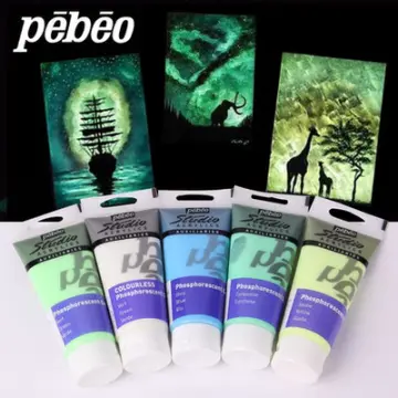 Glow in The Dark Acrylic Paint Glow Fluorescent Paint for Halloween  Decoration,Art Painting,Outdoor and Indoor Art Craft,Fabric