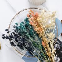 【cw】 Fruit Dried Bouquet for Resin Mold Making Real Wedding Decoration ！