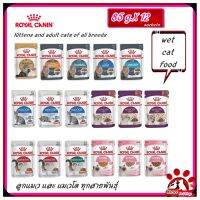 Royal Canin cat wet food 85 g.X 12 sachets.Kittens and adult cats of all breeds โรยัล คานิน อาหารเปียกแมว 85 กรัม.X 12ซอง.ลูกแมว และ แมวโต ทุกสายพันธุ์