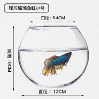 โต๊ะทำจากแก้วรูปปลากล่องปลาทองขนาดเล็กลายเบทต้าอะควาโปนิกส์ Maxspect Acuariofilia ของตกแต่งทรงกลมขนาดเล็ก