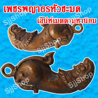 ปลัดหัวชะมดเพชรพญาธร หรือ ทิพยาธร  จัดส่ง 1-3 วันได้รับ