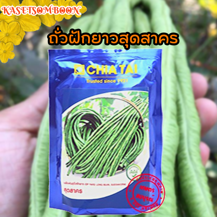 ถั่วฝักยาวสุดสาคร-เมล็ดพันธุ์500-ก-ตราเจียไต๋