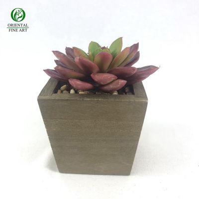 [คุณภาพดี] พืชปลอม ECHEVERIA HEAD (เฉพาะหัว ไม่รวมกระถาง) R-005 BUR ต้นไม้ปลอม สำหรับประดับตกแต่งสวนจิ๋ว สวนขวดแก้ว สวนถาด[รหัสสินค้า]6036