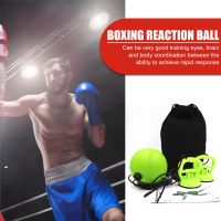 （A New Well Sell ） อุปกรณ์ออกกำลังกาย Gym Training BoxingSpeedSanda Hand Eye Training FightFitness Equipment