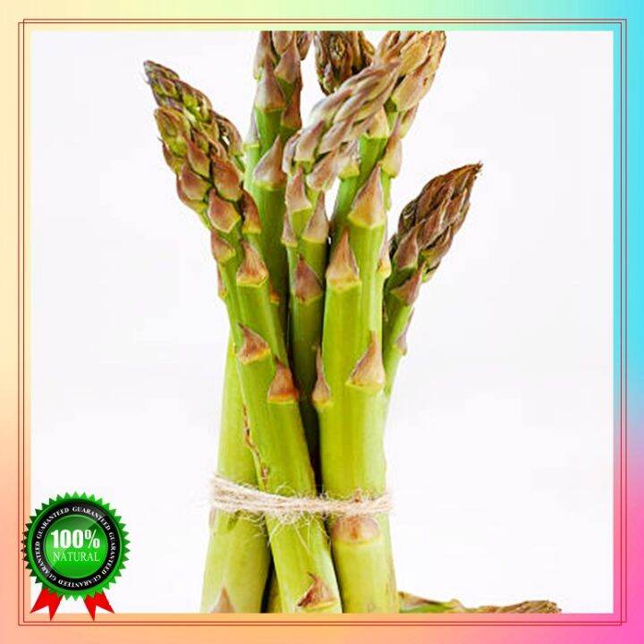 Fast Germination 100 seeds asparagus seeds for planting Potted seeds