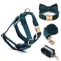 【LZ】 Vintage Emerald Green Dog Harness Personalized Thick Velvet Luxury Dog Collar with Leash Poop Bags Adjustable Bowtie Dog Collar