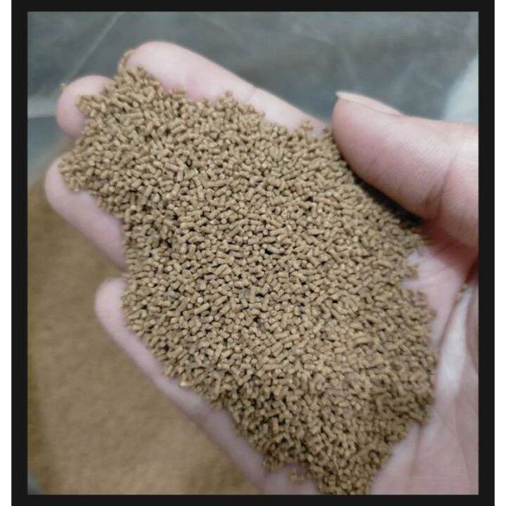 recreation PO2 Fish Food Tateh Feeds 500g/1kg Lazada PH