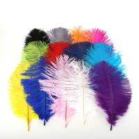 15-20cm(6-8 ) Ostrich Feather DIY Jewelry Craft Making Wedding Party Clothing Decoration