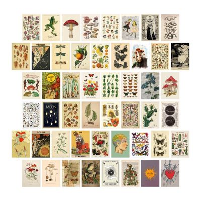 50Pcs Vintage Botanical Tarot Aesthetic Wall Collage Kit Flora &amp; Fauna Insects Illustration Art Posters Card Room Decor