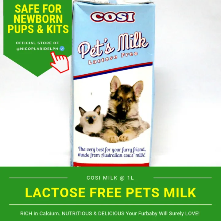 are cats and dogs lactose intolerant