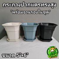 กระถางเหลี่ยมตัดมุมทรงแจกัน ปากแตรกว้าง5×6?