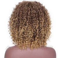 AISI HAIR Short Afro Kinky Curly Wigs for Black Women Mixed Brown Blonde Color Synthetic Wig With Bangs 12 Inches Natural Wigs Gift ของขวัญ