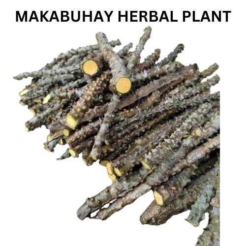 CLEAN AND GREEN 250G MAKABUHAY HERBAL PLANTS | Lazada PH