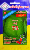 กะหล่ำปลี พันธุ์ 75 Cabbage เมล็ดพันธุ์ตราสามเอ AAA