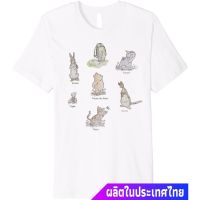 เสื้อยืดผ้าฝ้ายพิมพ์ลาย เสื้อยืดครอปผู้ชายและผู้หญิง Disney Winnie The Pooh Clic Group Shot Premium T-Shirt discount รุ่