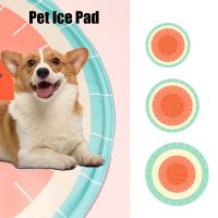 【CW】 Cooling Dog Sleeping Cartoon Watermelon Silk Moisture-proof Mattress Cushion Small Cold