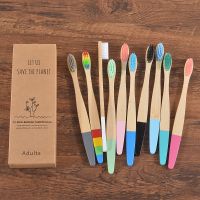 hot【DT】 10 Pcs Adults Colorful Toothbrush Teeth Whitening Oral Medium Bristle Ecology Paint Vegan