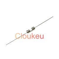 【DT】hot！ 3.6x10mm With pin Fast blow Fuse 250V 1A 3.15A 4A 5A 6A 6.3A 8A 10A