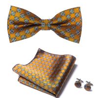 Wholesale Fashion Festive Present Silk Woven Bow Tie Pocket Squares Cufflink Set Dot Wedding Accessories Blue Man