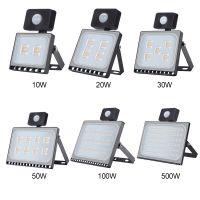 Outdoor Lighting 10W 20W 30W 50W 100W LED Spotlight PIR Motion Sensor Aluminum Ultra thin Led reflector AC220V Led Floodlight