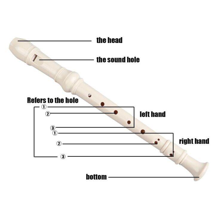 Flute Recorder Fingering Soprano Daddi Brand Lazada PH