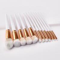 [COD] 12 makeup brushes platinum two-color hair beauty tool