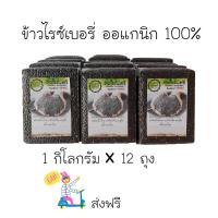 ข้าวไรซ์เบอรี่ Organic Riceberry ข้าวกล้อง ไรซ์เบอรี่ 12 kg. 1 ลัง มี 12 แพค เป็น ข้าวเก็บเกียวใหม่ จากแปลงนาอินทรีย์ เกรดพรีเมียม ส่งฟรี