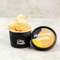 CityFresh ไอศกรีมซอร์เบต์ เสาวรสและลูกพลับ สูตร Autumn Dawn Premium Sorbet