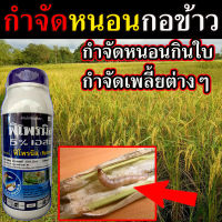 กำจัดหนอนในนาข้าว 1 ลิตร ?สูตรเข้มข่น? ยาฆ่าหนอน ไล่หนอน ไล่แมลง ยาหนอนกอในนาข้าว ยาหนอนกอข้าว ยาหนอนในนาข้าว ยาฉีดหนอนกอข้าว  ยาหนอนห่อใบข้าว ยากำจัดหนอนในนาข้าว ยาแก้หนอนใบข้าว ยากำจัดหนอนเจาะคอรวงข้าว ยากําจัดหนอนกอข้าว