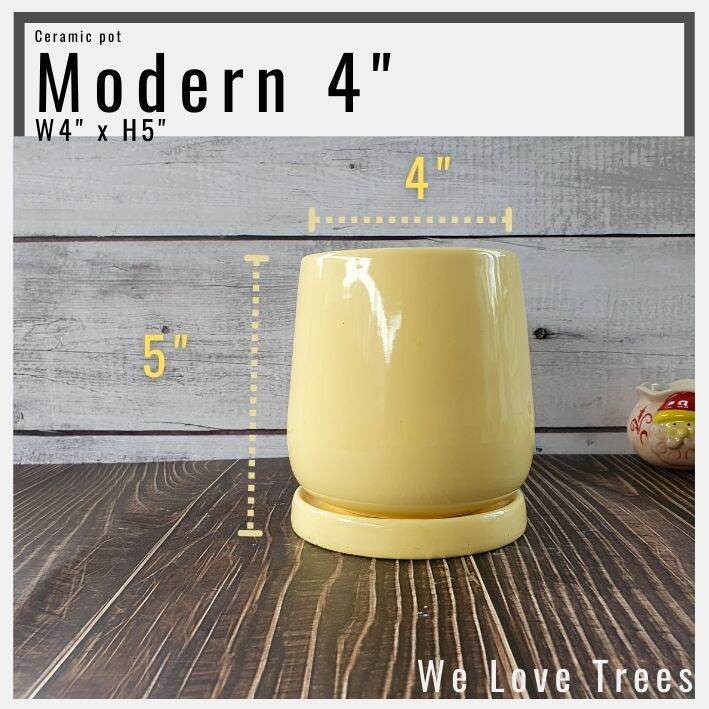 กระถางเซรามิค-ทรง-modern-4-นิ้ว