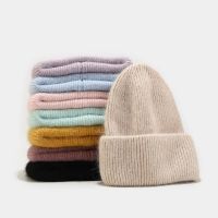 【YD】 New Hair Hat Warm Hats Adult Cashmere Knitted Beanie with Wire