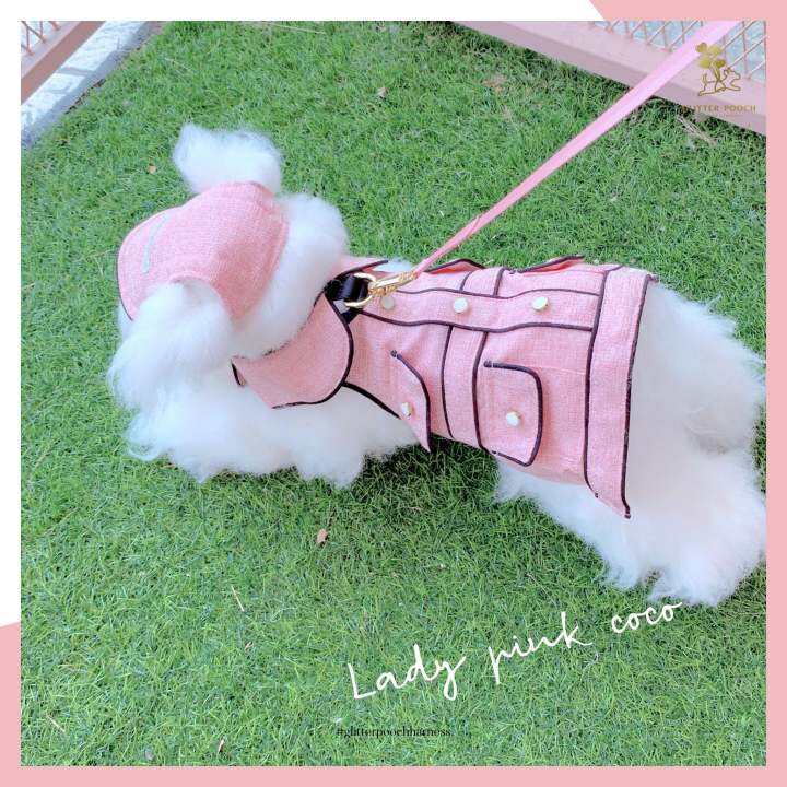 glitter-pooch-harness-ชุดรัดอก-สายจูง-เสื้อผ้า-สุนัข-หมา-แมว-สัตว์เลี้ยง-พร้อม-สายจูง-รุ่น-mini-coco