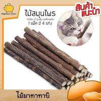 Cat Accessories ไม้มาทาทาบิ ไม้สมุนไพรสำหรับแมวกัดเล่น ของเล่นแมว แมวฟิน แคทนิปแมว แบบไม้ บำรุงเหงือกและฟันและลูกแมวที่ชอบกัด 1ห่อมี4ไม้