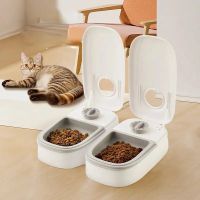 ชามสำหรับสัตว์เลี้ยง Smart Time Cat Feeder ปริมาณอาหารแห้งและเปียกแยกอาหารสองมื้ออาหารสุนัขอัตโนมัติในบ้าน