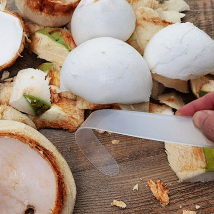 coconut-meat-scraper-plastic-coconut-meat-remover-digging-egg-soft-tools-extractor-coconut-v2r7