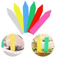 Hot Selling 100Pcs Garden Labels Gardening Plant Classification Sorting Sign Tag Ticket Plastic Writing Plate Board Plug In Card 10 X 2Cm