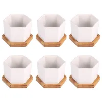 Simple White Creative Ceramic Small Hexagonal Plant Succulent Flowerpot with Bamboo Tray (6 Small Flowerpots + 6 Trays)