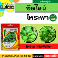 ซีดไลน์ ?? โหระพาคัดพิเศษ SL ขนาดบรรจุประมาณ 1000 เมล็ด อายุเก็บเกี่ยว 40-50 วัน