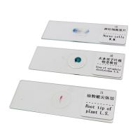 Store Warranty Prepared Microscope Slides Glass Biological Specimen Animal Plant Human Tissue Slide For Student Education Studying