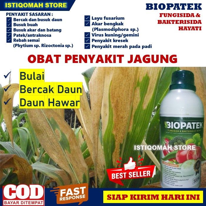 Obat Semprot Penyakit Bulai Daun Putih Bercak Daun dan Daun Hawar pada