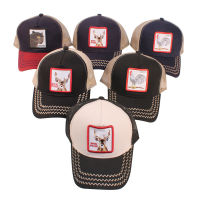 Summer Mesh Cap Animal Embroidered Baseball Cap Cotton Adult Size Embroidered Logo Animal Truck Cap Childrens Cap
