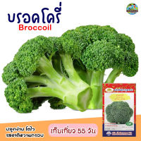 เมล็ดบร็อคโคลี่ เมโทร บรอค ตราภูเขาทอง Broccoil เมล็ดพันธุ์บร็อคโคลี่ เมล็ดผักสวนครัว เมล็ดพันธุ์ผัก เมล็ดผัก