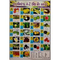 โปสเตอร์ แบบหัดอ่าน A-Z (พืช ผัก ผลไม้) โปสเตอร์ภาพประกอบการศึกษา No.9188 โปสเตอร์กระดาษ สื่อการเรียนการสอน สื่อการเรียนรู้