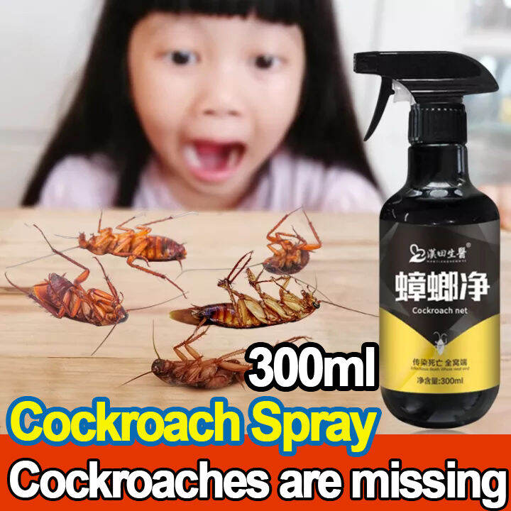 cockroach eliminator spray insect killer cockroach killer 300ml Large