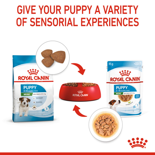 petclub-royal-canin-wet-mini-puppy-in-gravy-อาหารเปียกสูตรลูกสุนัขพันธุ์เล็ก-85g-x12ซอง